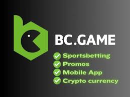 Experience the Future of Online Gambling with BC Game USA